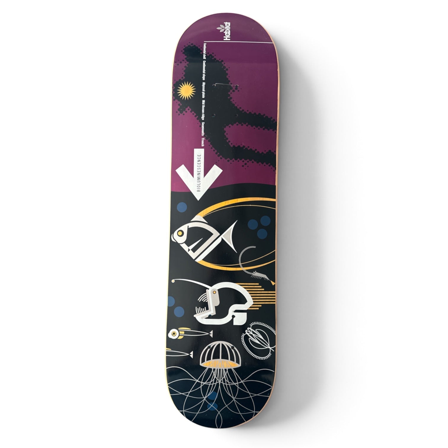 2002 Habitat Skateboards “Bioluminescence” Series Logo Deck