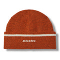 Dickies Skateboarding Woven Label Cuffed Beanie