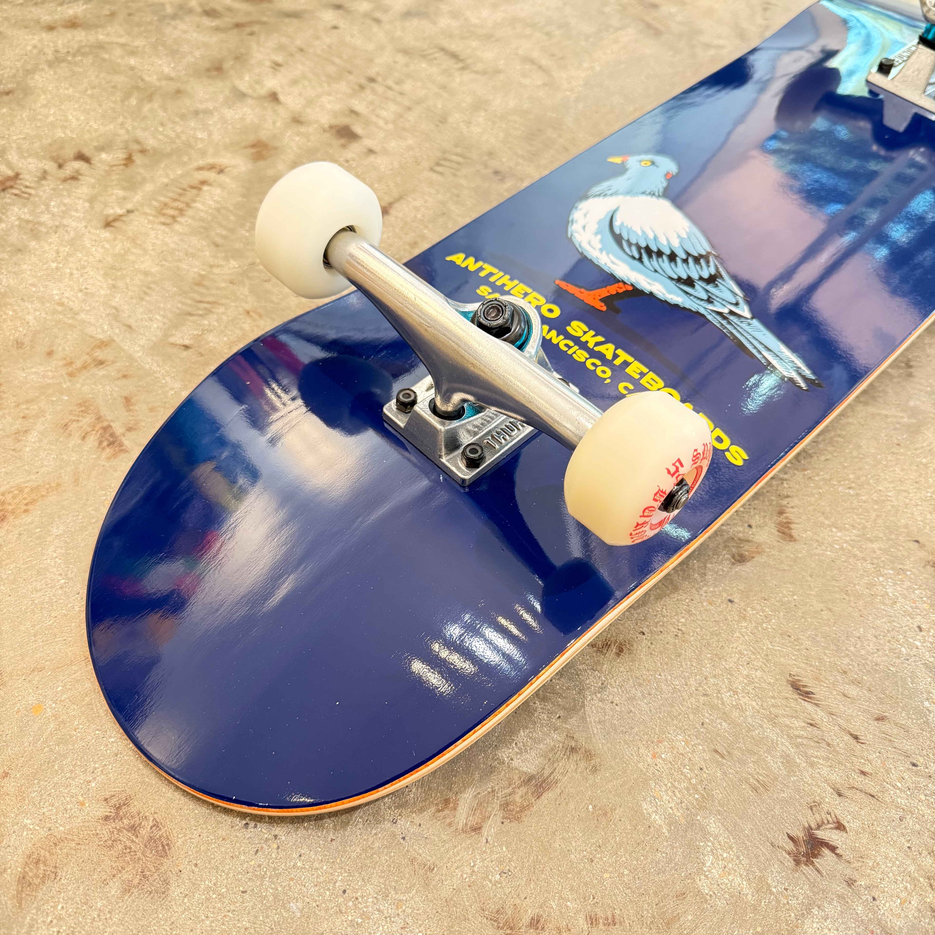 Anti Hero Team Pigeon Complete 8.25"