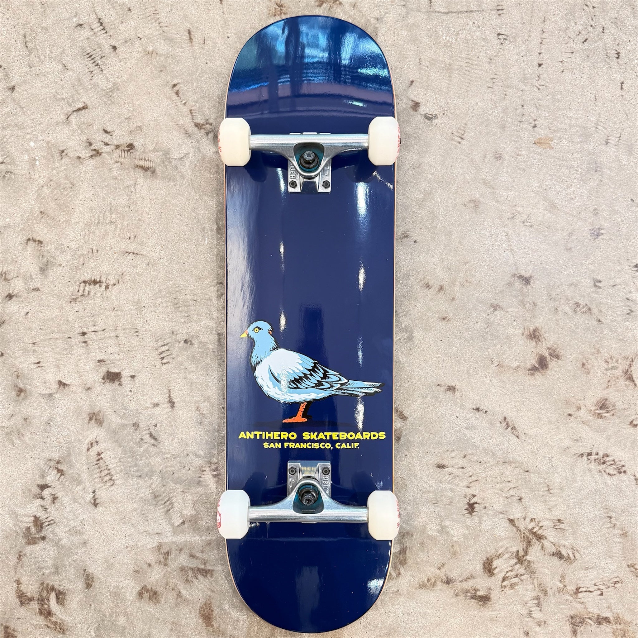Anti Hero Team Pigeon Complete 8.25"